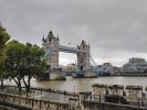 PICTURES/Tower Bridge/t_Tower Bridge8.jpg